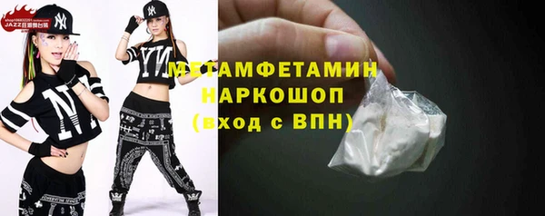индика Володарск