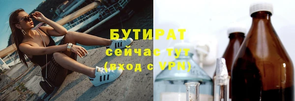 индика Володарск