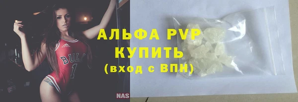 индика Володарск