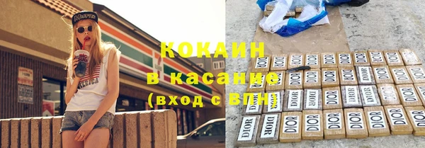 индика Володарск