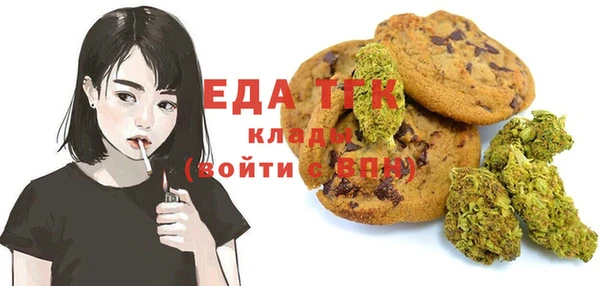 индика Володарск